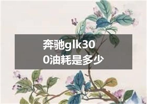 奔驰glk300油耗是多少