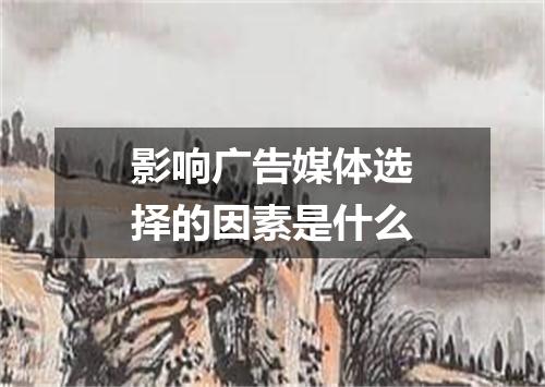 影响广告媒体选择的因素是什么
