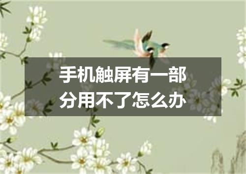 手机触屏有一部分用不了怎么办