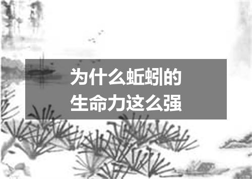 为什么蚯蚓的生命力这么强