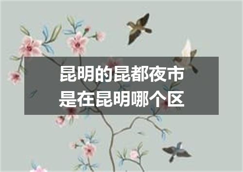 昆明的昆都夜市是在昆明哪个区