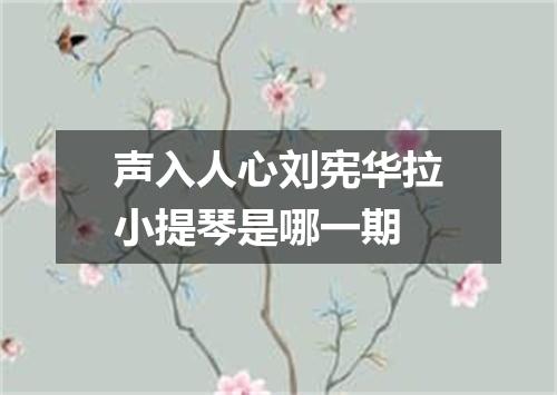 声入人心刘宪华拉小提琴是哪一期