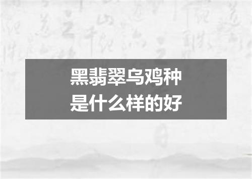 黑翡翠乌鸡种是什么样的好