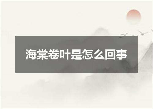 海棠卷叶是怎么回事