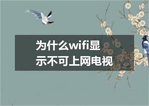 为什么wifi显示不可上网电视