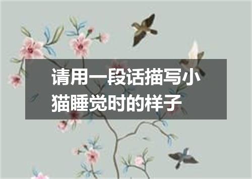 请用一段话描写小猫睡觉时的样子