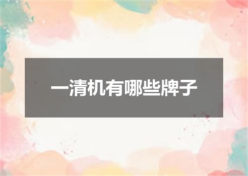 一清机有哪些牌子