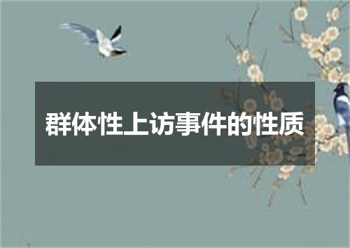 群体性上访事件的性质