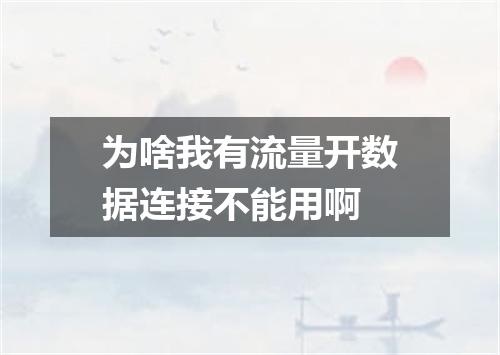 为啥我有流量开数据连接不能用啊