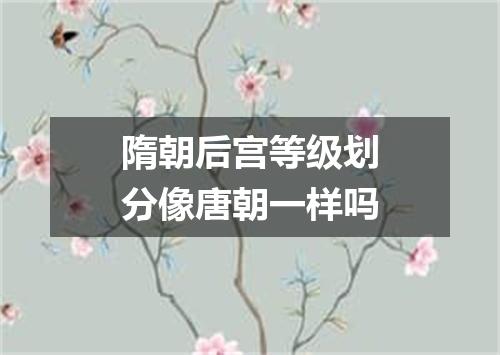 隋朝后宫等级划分像唐朝一样吗