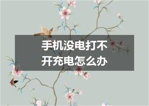 手机没电打不开充电怎么办