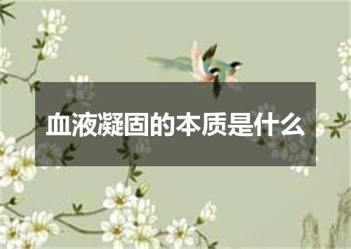 血液凝固的本质是什么