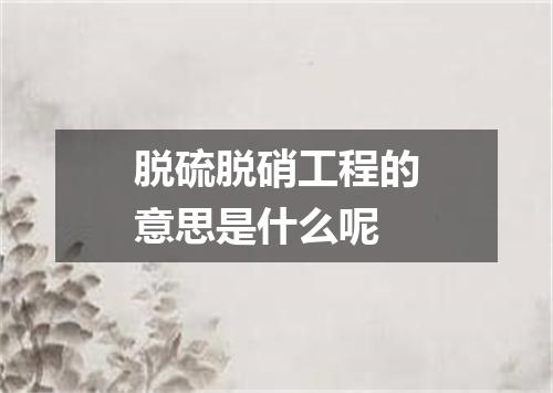 脱硫脱硝工程的意思是什么呢