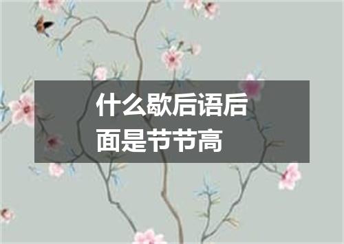 什么歇后语后面是节节高