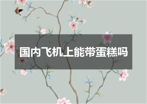 国内飞机上能带蛋糕吗