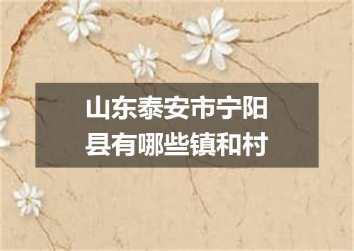 山东泰安市宁阳县有哪些镇和村