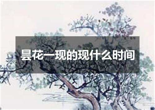 昙花一现的现什么时间