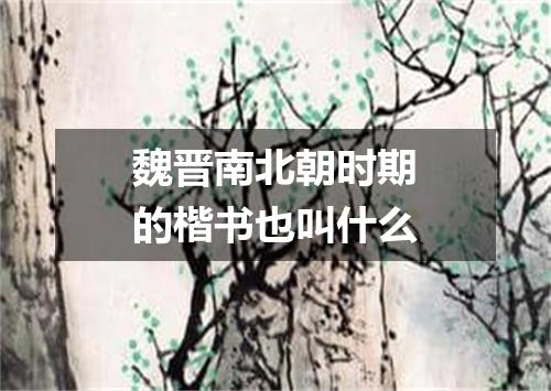 魏晋南北朝时期的楷书也叫什么