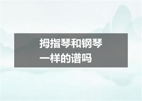 拇指琴和钢琴一样的谱吗
