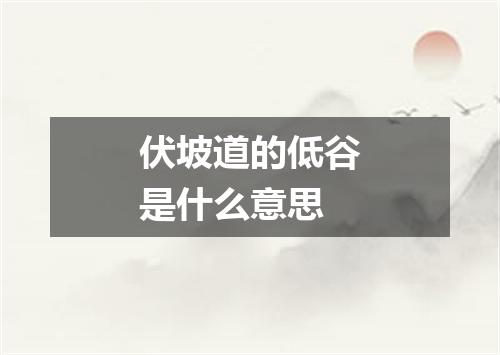 伏坡道的低谷是什么意思