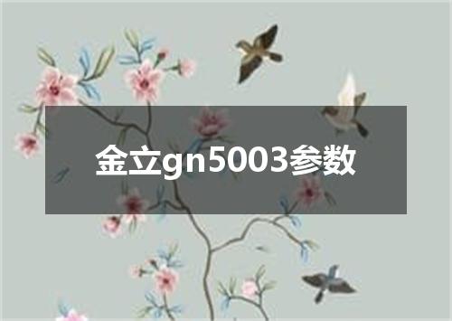 金立gn5003参数
