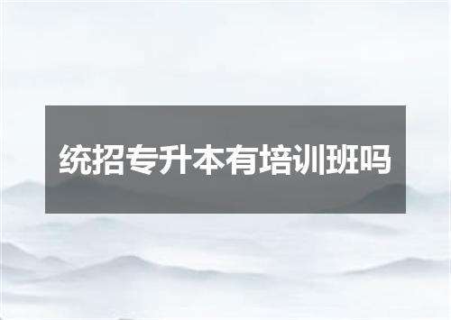 统招专升本有培训班吗