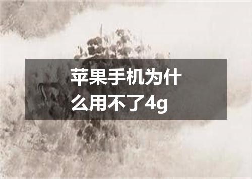 苹果手机为什么用不了4g