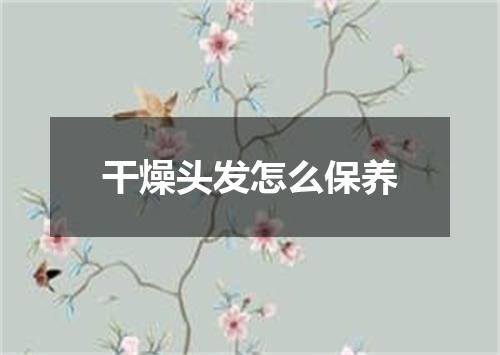 干燥头发怎么保养