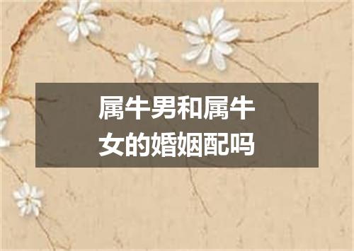 属牛男和属牛女的婚姻配吗