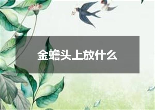 金蟾头上放什么