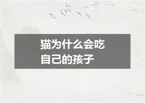 猫为什么会吃自己的孩子