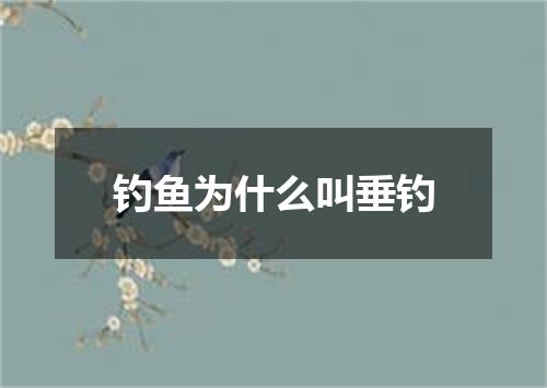 钓鱼为什么叫垂钓