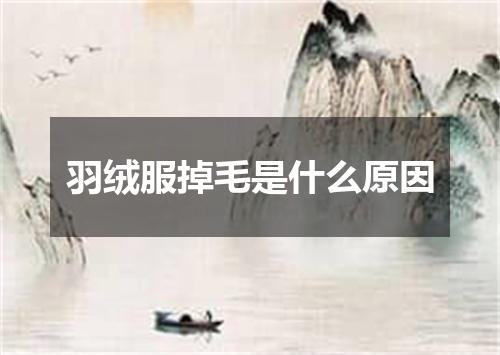 羽绒服掉毛是什么原因