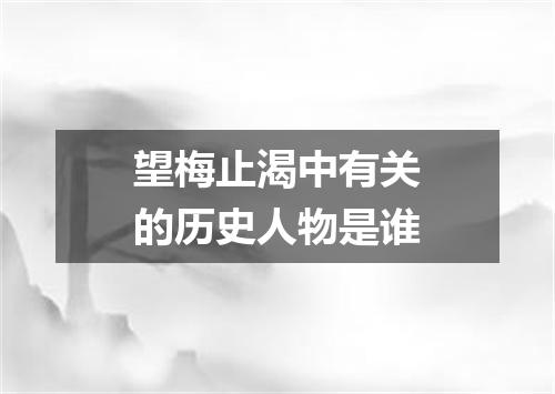 望梅止渴中有关的历史人物是谁