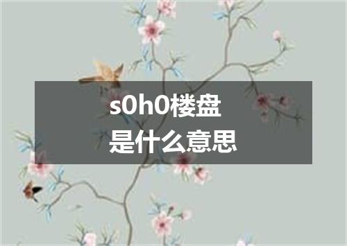 s0h0楼盘是什么意思
