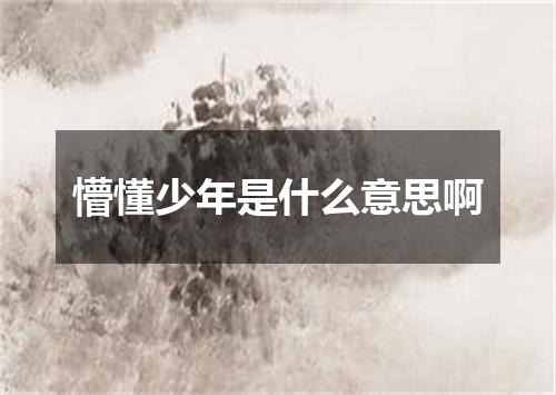 懵懂少年是什么意思啊