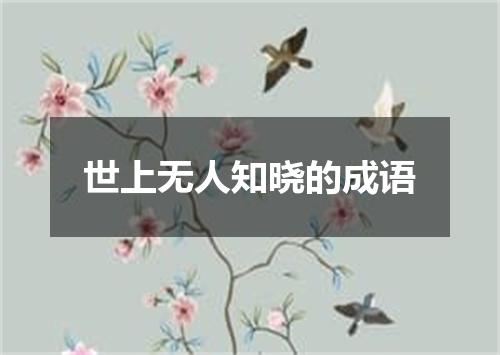 世上无人知晓的成语