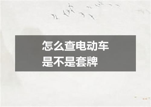 怎么查电动车是不是套牌