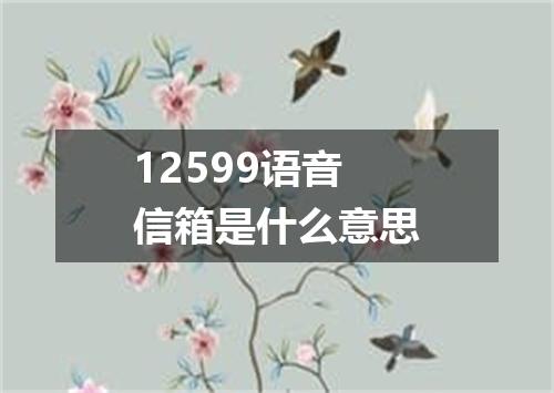 12599语音信箱是什么意思
