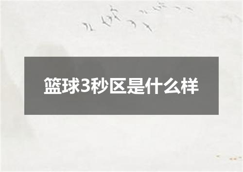 篮球3秒区是什么样