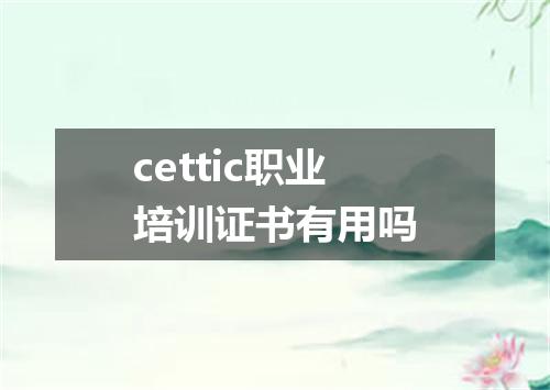 cettic职业培训证书有用吗