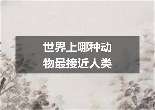 世界上哪种动物最接近人类