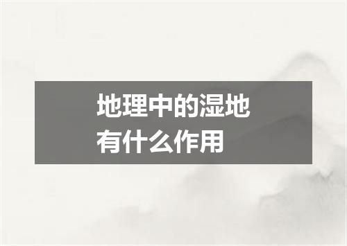 地理中的湿地有什么作用