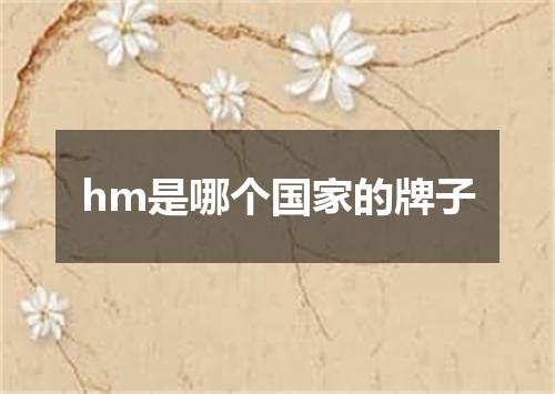 hm是哪个国家的牌子