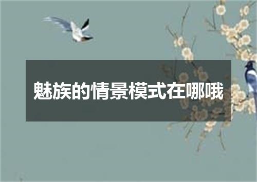 魅族的情景模式在哪哦