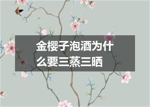 金樱子泡酒为什么要三蒸三晒