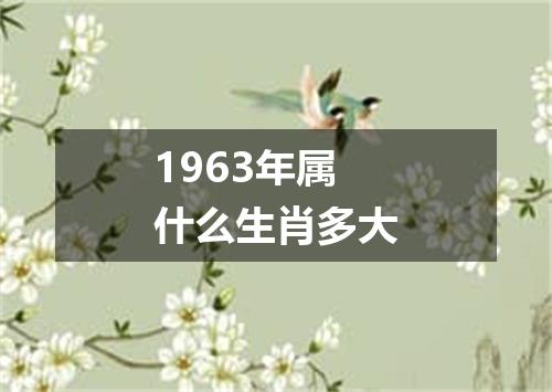 1963年属什么生肖多大