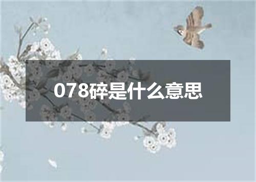 078碎是什么意思