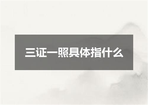 三证一照具体指什么