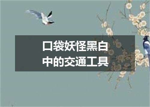 口袋妖怪黑白中的交通工具